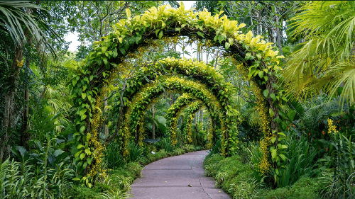 Rooftop infinity pool with turquoise water